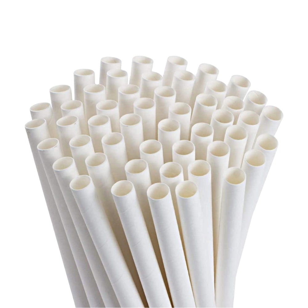 Paille en papier blanc 20 cm